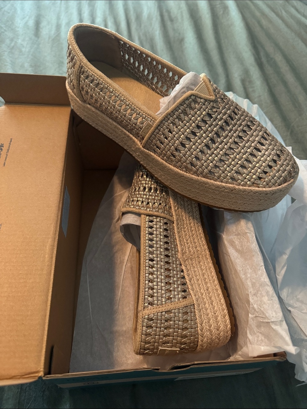 Toms Valencia Champagne